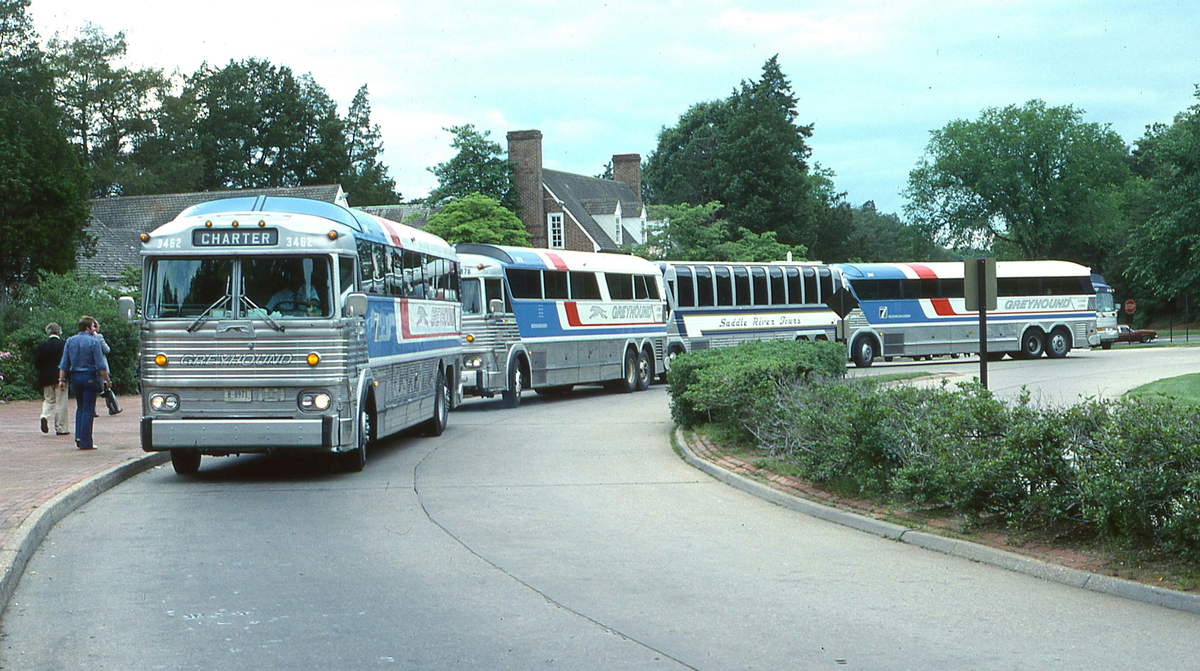 Buss line up